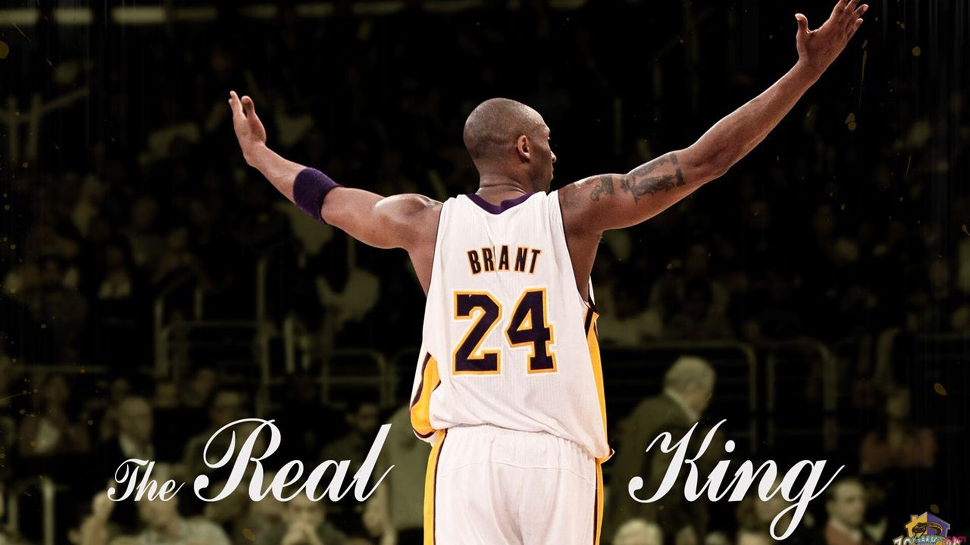 爱爱游戏-战术布局合理，选手节奏控制优良，战术位置